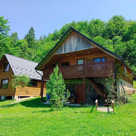 Під Горою Villa Sheshory Exterior photo